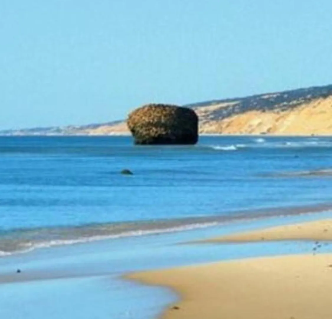 Holiday home Chalet Vacacional Matalascanas Bollullos par del Condado